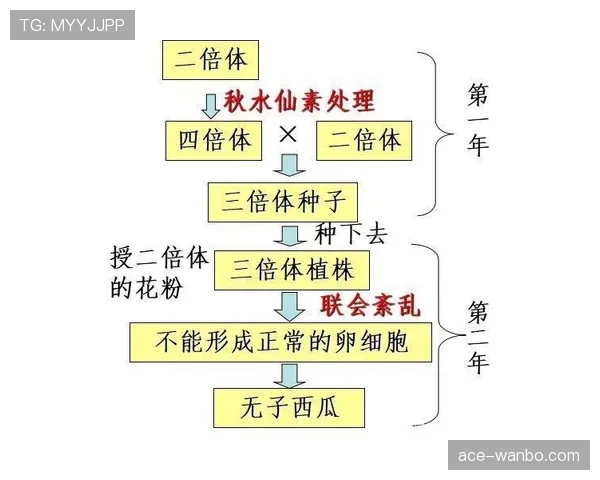 防守圆柱体规则的核心含义与圆柱体范围解析